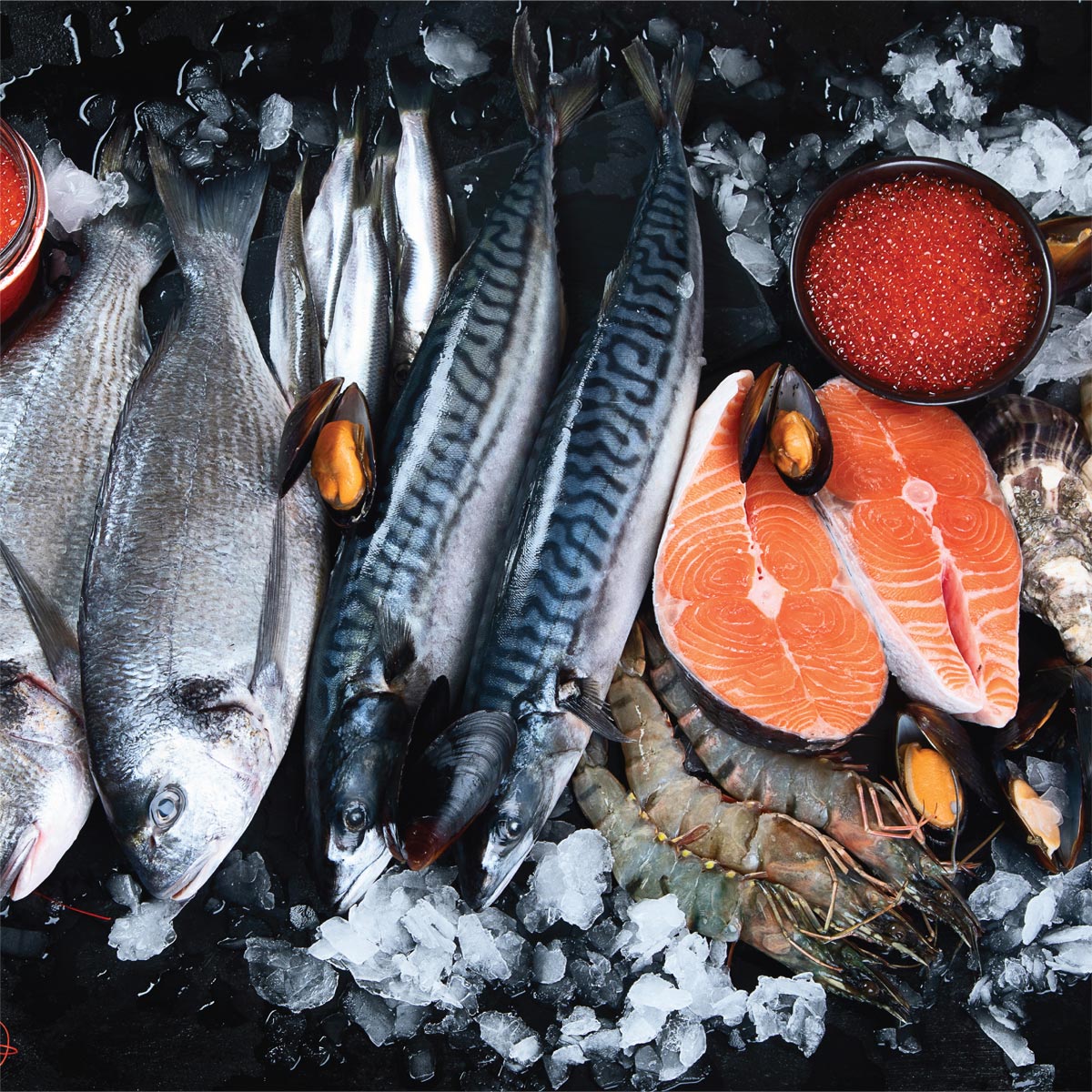 Your Seafood Shipping Logistics Partner – PeriShip